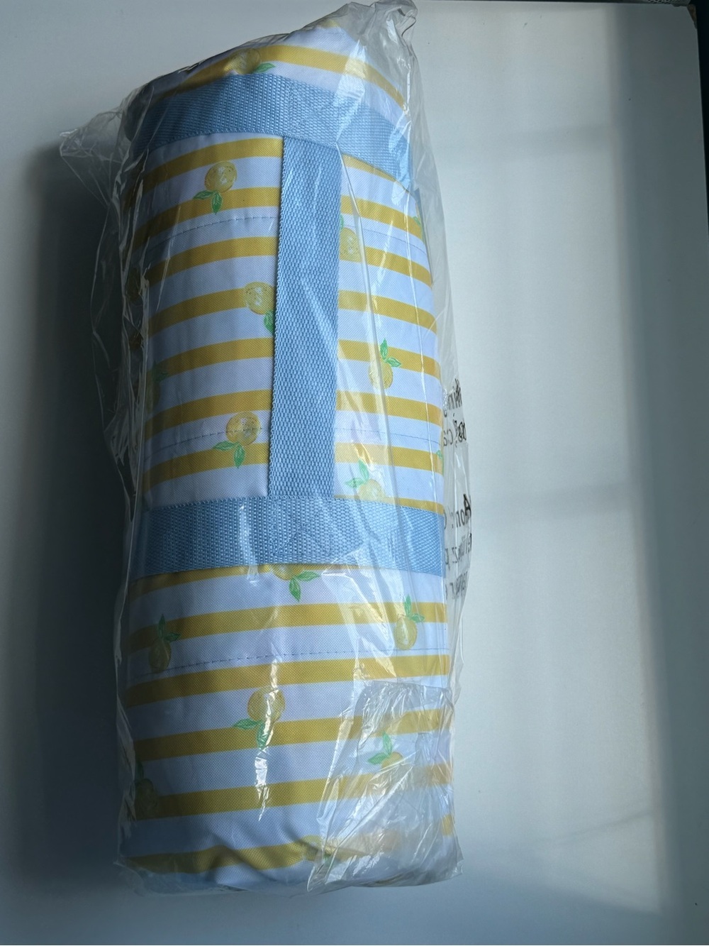 Brand New Lilly Pulitzer Picnic Blanket Bluette Make Lemonade - Picture 2 of 3